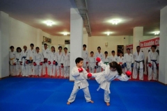 Karate-11