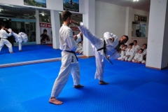 Karate-13