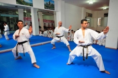 Karate-19