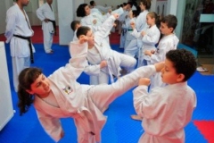 Karate-24
