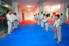 Karate-3
