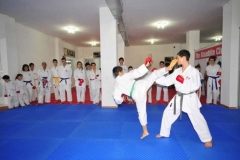 Karate-4