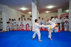 Karate-5