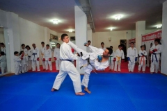 Karate-6