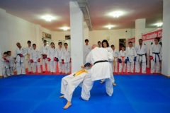 Karate-8