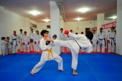Karate-9